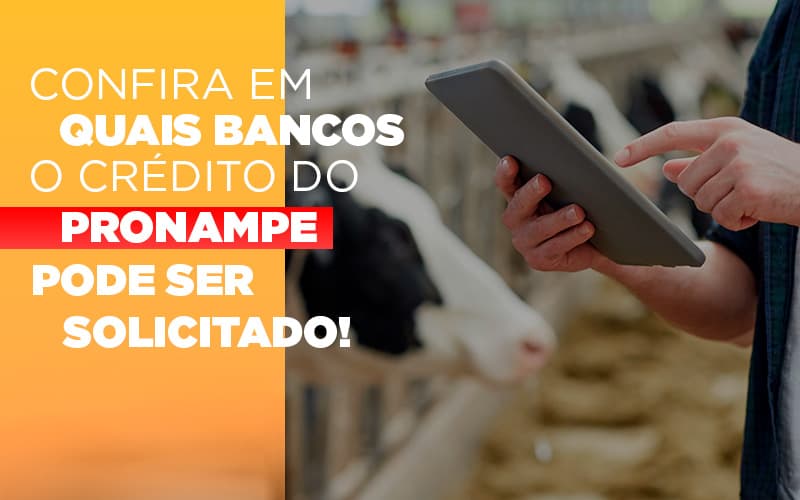 Confira Em Quais Bancos O Credito Pronampe Ja Pode Ser Solicitado - Datalex Contabilidade