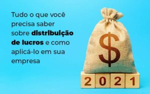 Tudo O Que Voce Precisa Saber Sobre Distribuicao De Lucros E Como Aplicalo Em Sua Empresa Blog 1 - Datalex Contabilidade