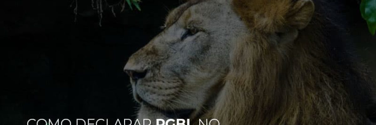 Ir2020:como Declarar Pgbl No Imposto De Renda - Datalex Contabilidade