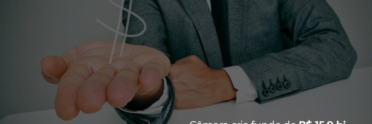 Camara Cria Fundo De Rs 15 9 Bi Para Garantir Emprestimos Para Microempresa - Datalex Contabilidade