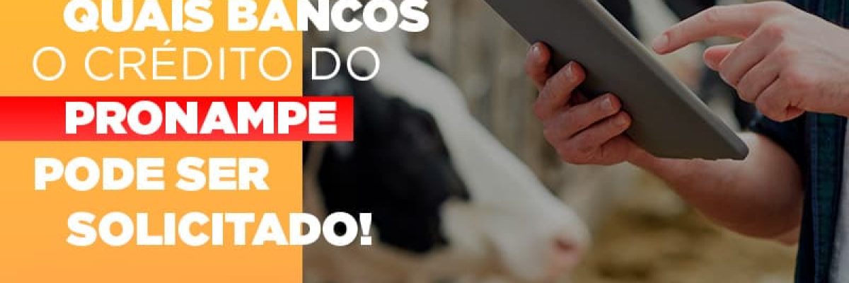 Confira Em Quais Bancos O Credito Pronampe Ja Pode Ser Solicitado - Datalex Contabilidade