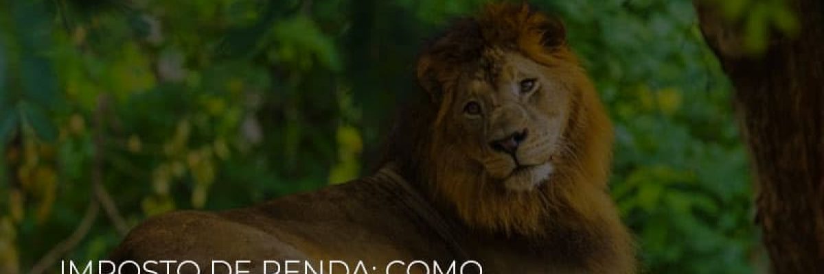 Imposto De Renda Como Solicitar Isencao Do Ir 2020 - Datalex Contabilidade
