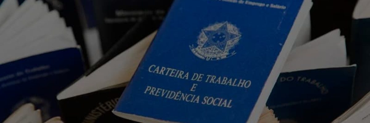 Medida Provisoria O Que Voce Empresa Precisa Saber - Datalex Contabilidade