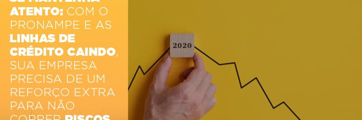 Se Mantenha Atento Com O Pronampe E As Linhas De Credito Caindo Sua Empresa Precisa De Um Reforco Extra Para Nao Correr Riscos - Datalex Contabilidade