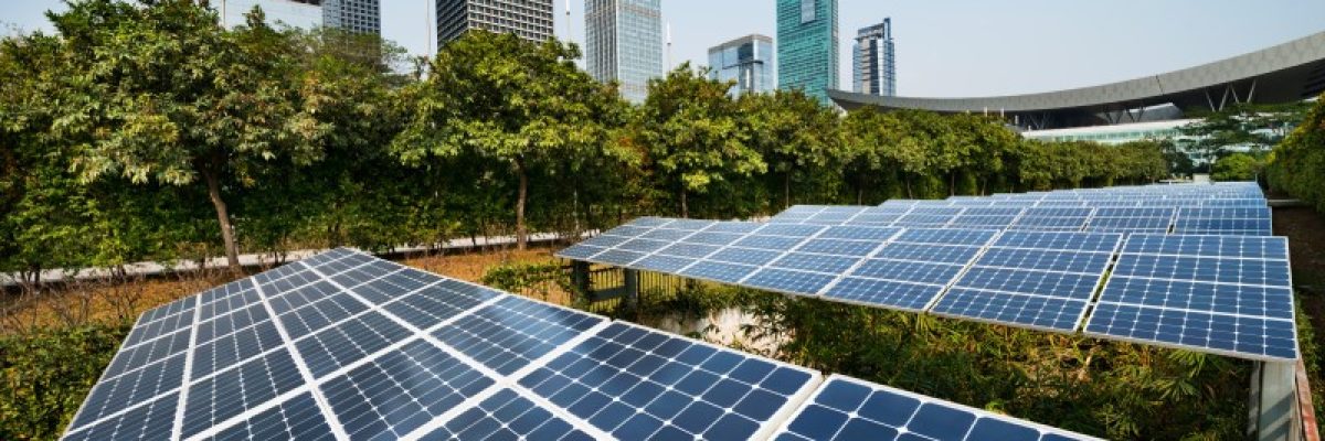 Sustentabilidade Empresarial Datalex - Datalex Contabilidade